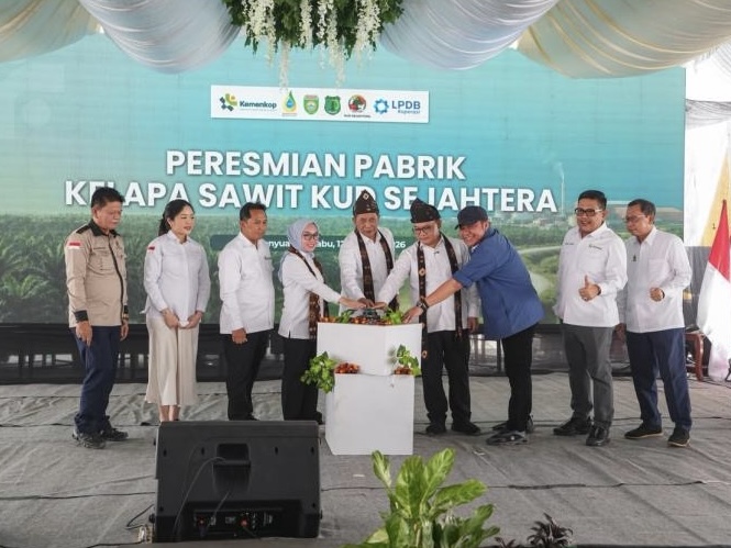 2.587 Koperasi Punya Peluang Hilirisasi, Pabrik CPO Jadi Jalan Naik Kelas Petani Sawit
